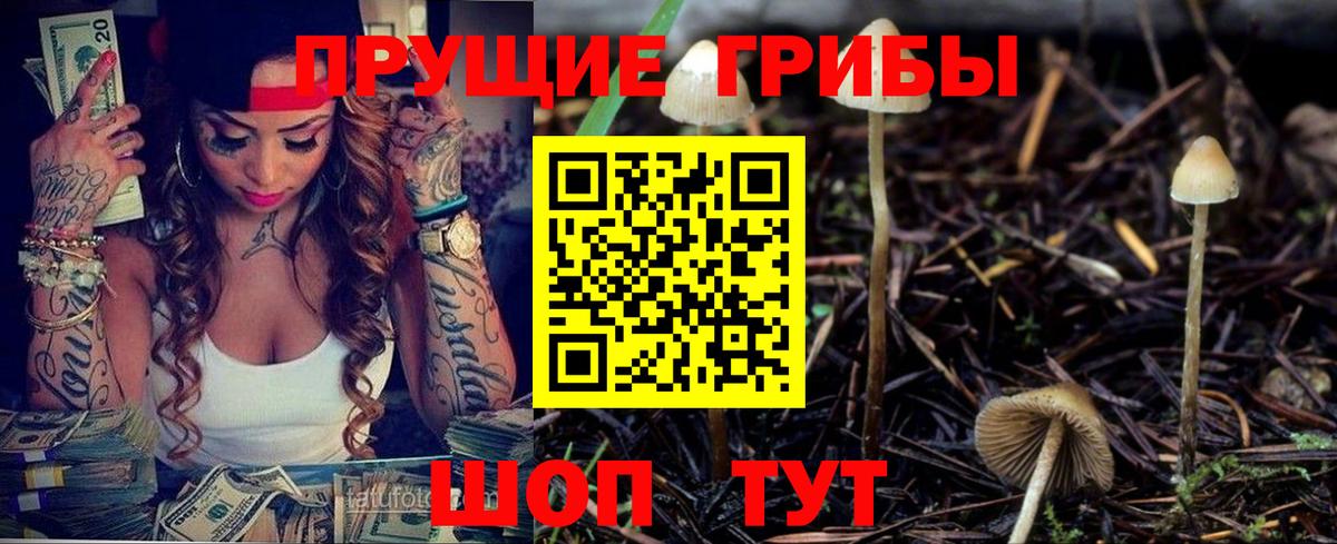 Псилоцибиновые грибы Psilocybe  Вход с VPN  Бугуруслан 